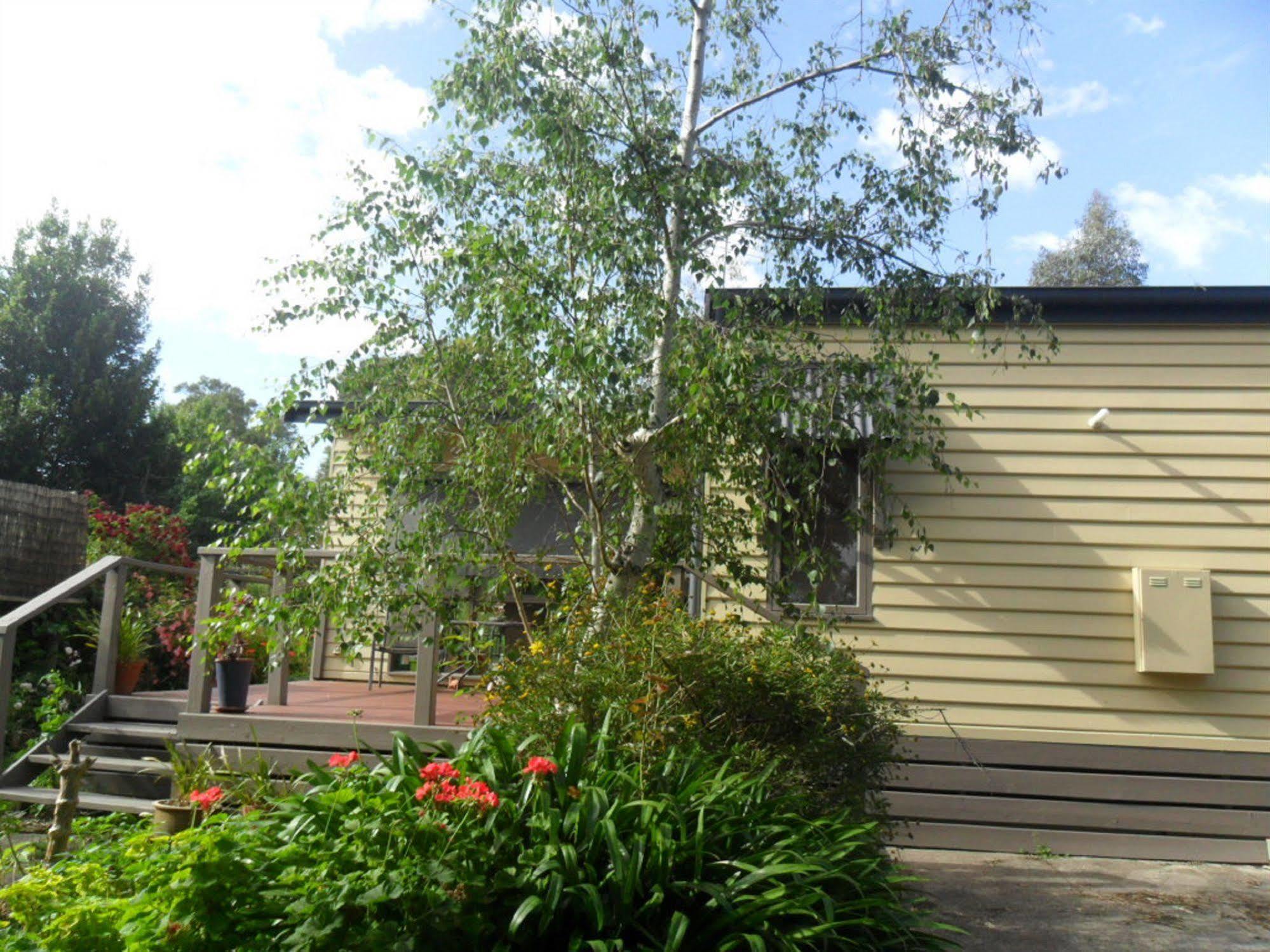 Australian Home Away @ Wonga Park Brushy Creek Exterior foto